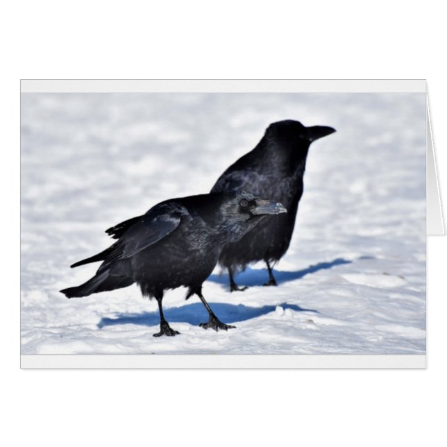 Raben-Karte (Vorderseite (Horizontal))