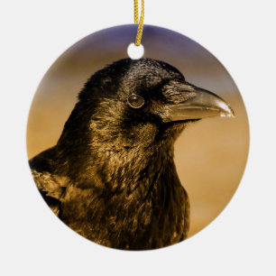 Raben-Krähen-gotische Fantasie-Schwarz-Vogel-Natu Keramik Ornament