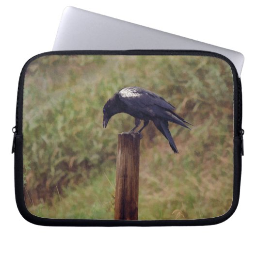 Raben mit weißem Flügel und Zaun-Post-Kunst Laptopschutzhülle (Vorderseite)