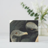 Raben- oder Truthahngeier, John James Audubon Postkarte (Stehend Vorderseite)
