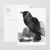 Raben-Postkarte Postkarte (Vorne/Hinten)