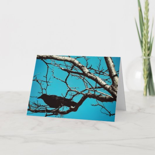 Rabenkrähe Schwarzer Vogel Silberbaum Blauer Himme Karte (Vorderseite)