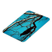 Rabenkrähe Schwarzer Vogel Silberbaum Blauer Himme Magnet (Linke Seite)