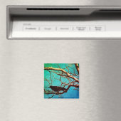 Rabenkrähe Schwarzer Vogel Silberbaum Foto Magnet (In Situ (Geschirrspüler))