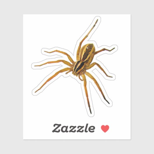 Rabid Wolf Spider (Rabidosa rabida) Aufkleber (Blatt)