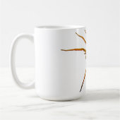 Rabid Wolf Spider (Rabidosa rabida) Kaffeetasse (Links)