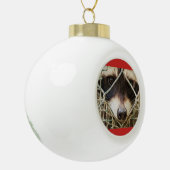 Raccon auf Keramik Ball Ornament (Links)