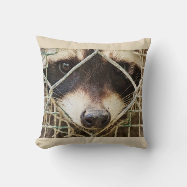 RACCON AUF PILLOW KISSEN (Vorderseite)