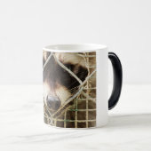 RACCON MORPHING-TASSE VERWANDLUNGSTASSE (VorderseiteRechts)