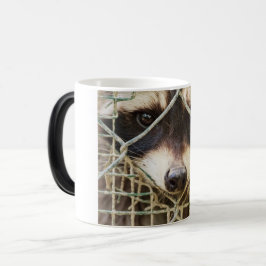 RACCON MORPHING-TASSE VERWANDLUNGSTASSE