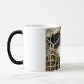 RACCON MORPHING-TASSE VERWANDLUNGSTASSE (Links)