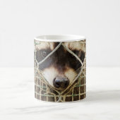 RACCON MORPHING-TASSE VERWANDLUNGSTASSE (Mittel)