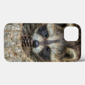 Raccon Nestled Inside a Tremollow Case-Mate iPhone Hülle (Rückseite (Horizontal))