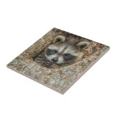 Raccon Nestled Inside a Tremollow Fliese (Seite)