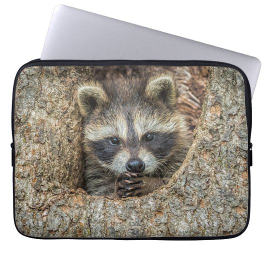 Raccon Nestled Inside a Tremollow Laptopschutzhülle (Vorderseite)