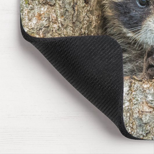Raccon Nestled Inside a Tremollow Mousepad (Ecke)
