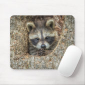 Raccon Nestled Inside a Tremollow Mousepad (Mit Mouse)