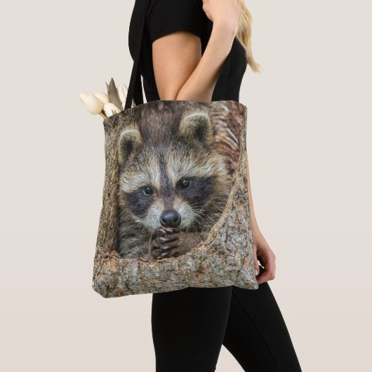 Raccon Nestled Inside a Tremollow Tasche (Von Nahem)