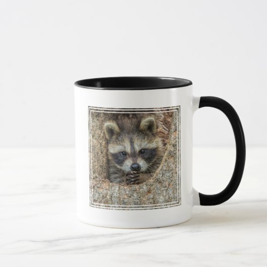 Raccon Nestled Inside a Tremollow Tasse (Rechts)
