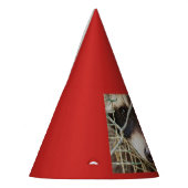 RACCON PARTY-HUT PARTYHÜTCHEN (Links)