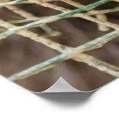 RACCON VALUE POSTER (Ecke)