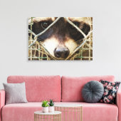        RACCONPRINTCANVAS LEINWANDDRUCK (Insitu (Wohnzimmer))