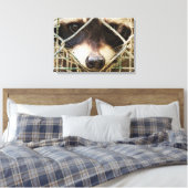        RACCONPRINTCANVAS LEINWANDDRUCK (Insitu (Schlafzimmer))