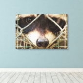        RACCONPRINTCANVAS LEINWANDDRUCK (Insitu (Holzboden))