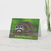 Raccoon (Vorderseite)