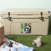 Raccoon 001 aufkleber (Kühler)