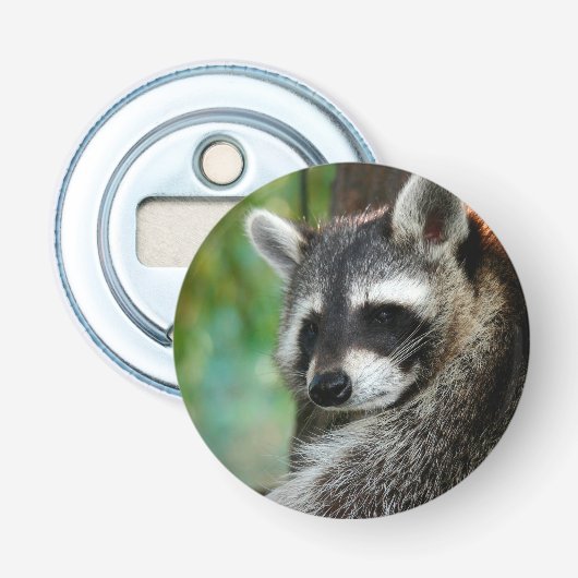 Raccoon 001 flaschenöffner (Vorderseite)