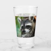 Raccoon 001 glas (Rückseite)