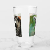 Raccoon 001 glas (Links)