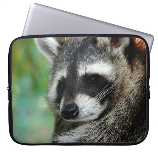 Raccoon 001 laptopschutzhülle (Vorderseite)