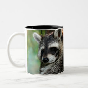 Raccoon 001 zweifarbige tasse