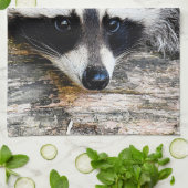 Raccoon 003 geschirrtuch (Gefaltet)