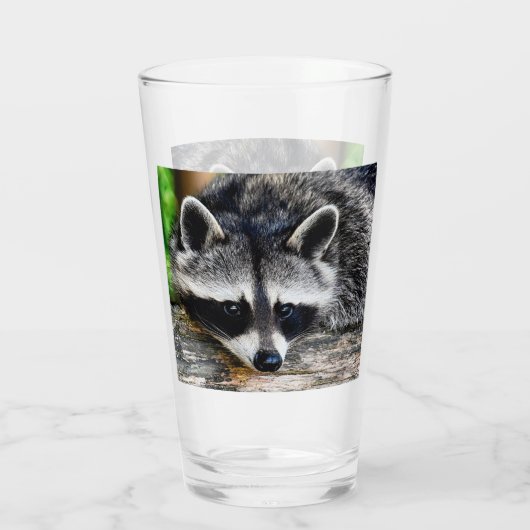 Raccoon 003 glas (Rückseite)