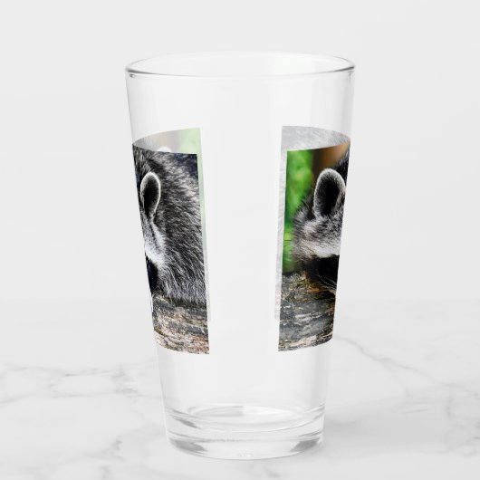 Raccoon 003 glas (Links)