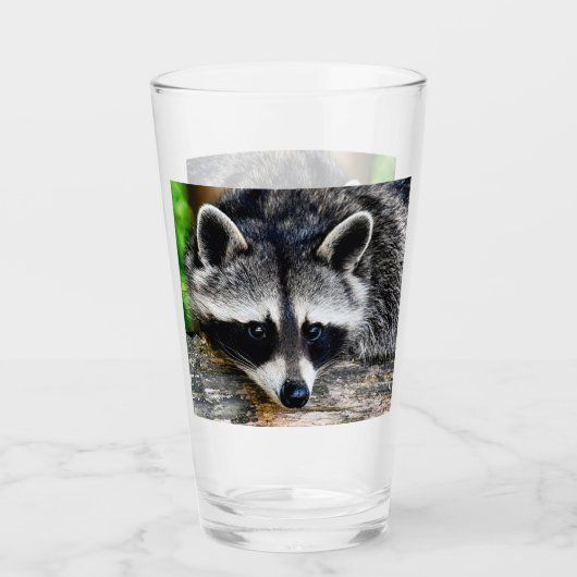 Raccoon 003 glas (Vorderseite)
