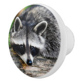 Raccoon 003 keramikknauf (Rechts)