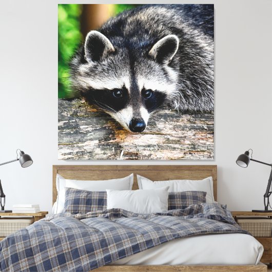 Raccoon 003 leinwanddruck (Insitu (Schlafzimmer))