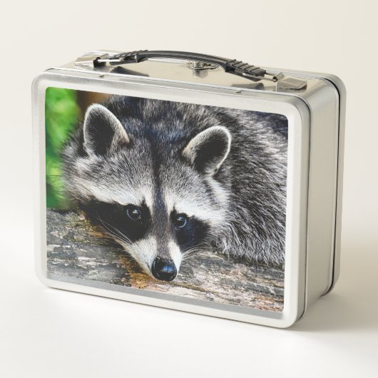 Raccoon 003 metall brotdose (Rückseite)