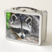 Raccoon 003 metall brotdose (Vorderseite)