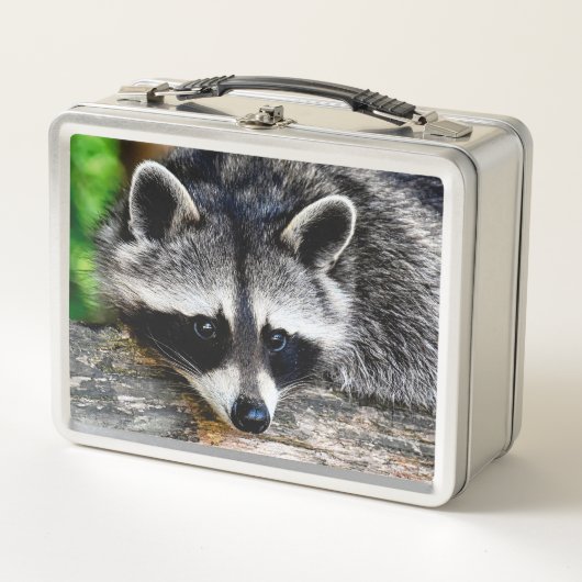 Raccoon 003 metall brotdose (Vorderseite)
