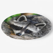 Raccoon 003 pappteller (Schrägansicht)