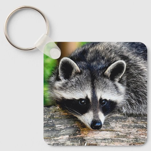 Raccoon 003 schlüsselanhänger (Vorderseite)