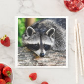 Raccoon 003 serviette (Beispiel)