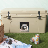 Raccoon 004 aufkleber (Kühler)