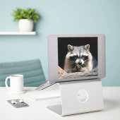 Raccoon 004 aufkleber (Laptop auf Schreibtisch)