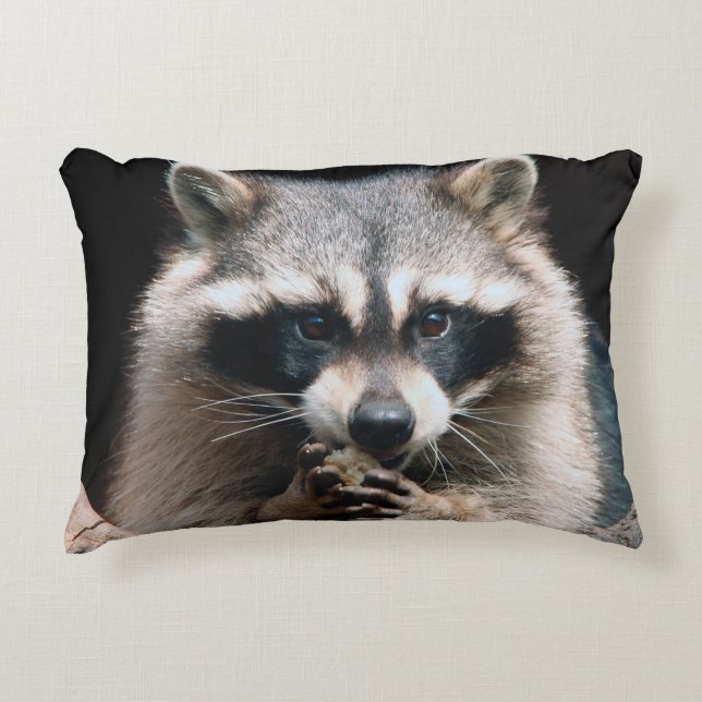 Raccoon 004 dekokissen (Vorderseite)